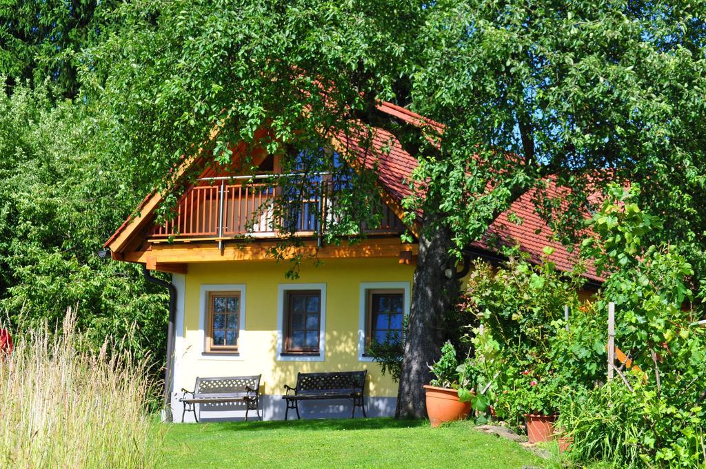 Haus Schoenegger Кітцек-ім-Заузаль Екстер'єр фото