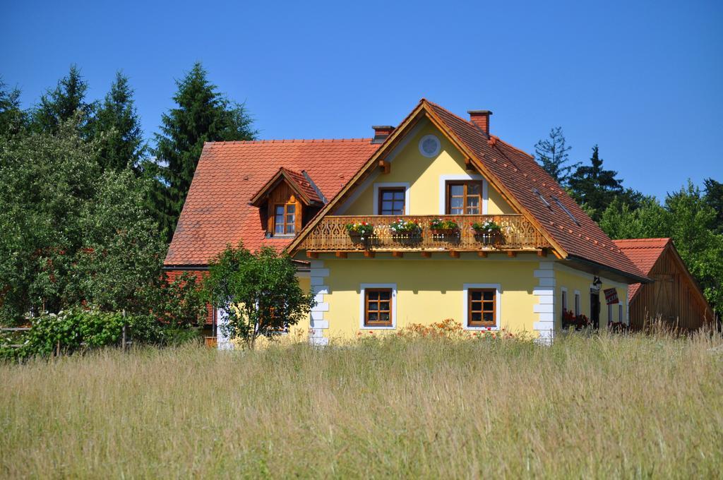 Haus Schoenegger Кітцек-ім-Заузаль Екстер'єр фото